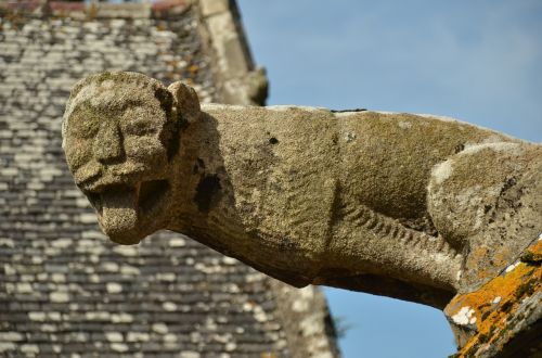 image gargouille gargoyle