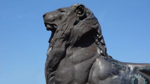 image sculpture lion