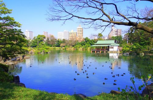 清澄庭園 lake japan