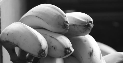 image black and white bananas