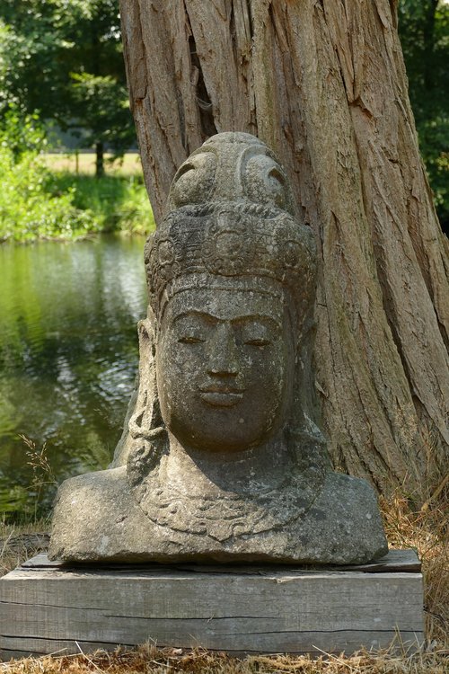 image  sculpture  head