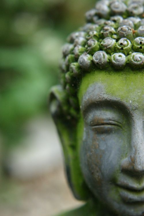 image buddha garden