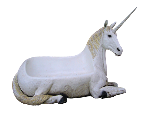 image cropped unicorn animal magic