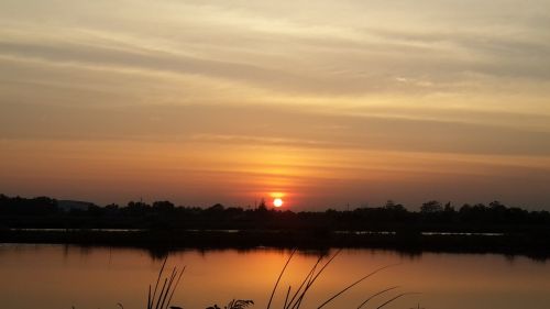 green view evening sunset