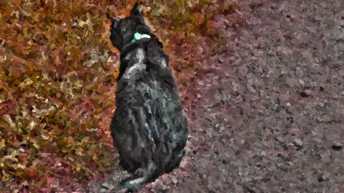 Impressionist Black Cat