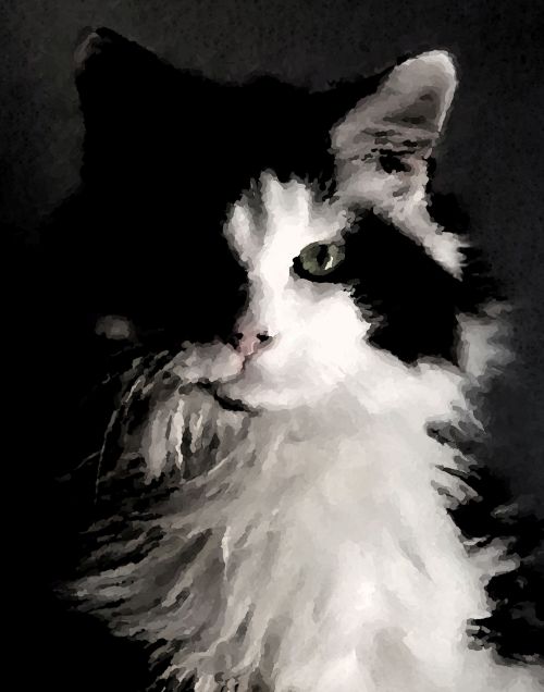 Impressionist Cat