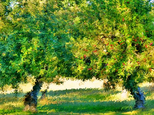 Impressionist Trees