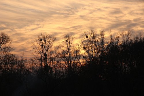 in the evening  autumn  sunset