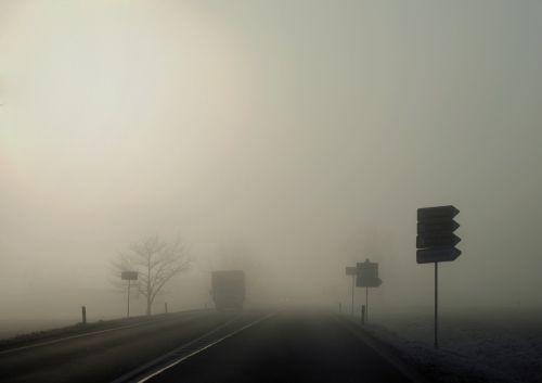 in the morning fog path