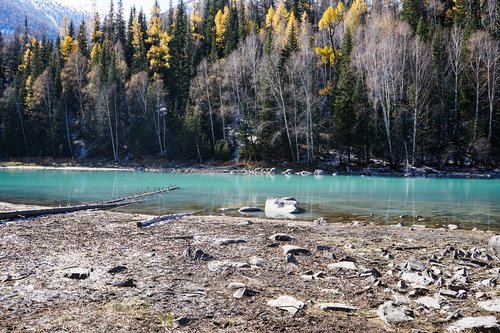 in xinjiang  kanas  switzerland scenery