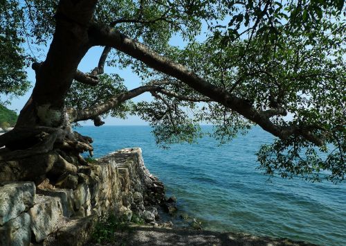 in yunnan province fuxian lake