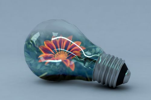 incandescent lamp energy creativity