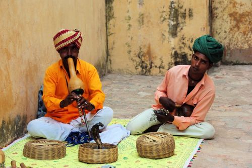 india snake music