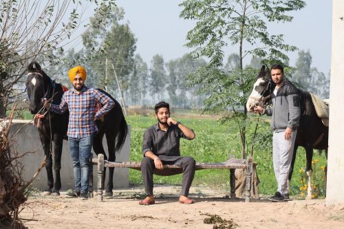 india countryside farm