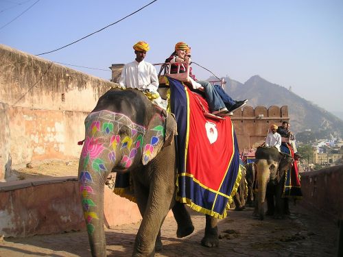 india elephant transport