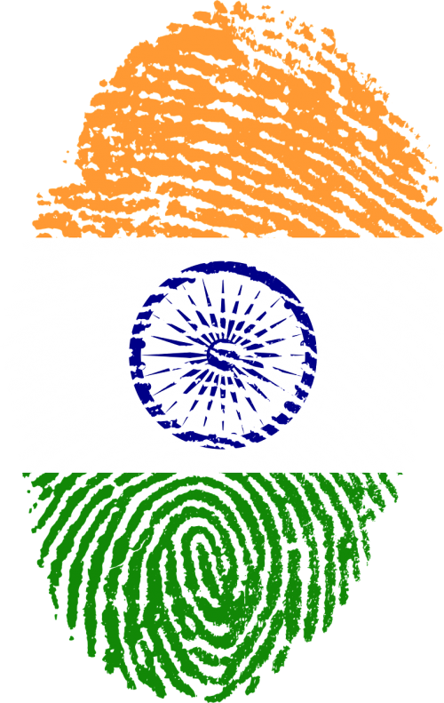 india flag fingerprint