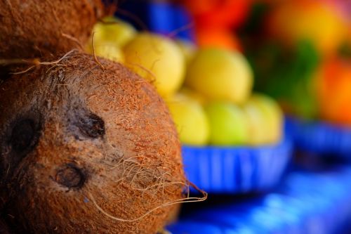 india coconut fruit tropical fruit