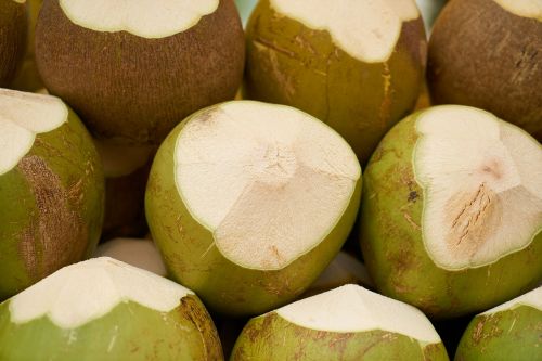 india coconut fruit fresh