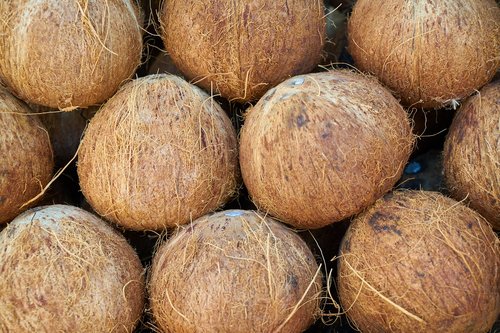 india coconut  fruit  food