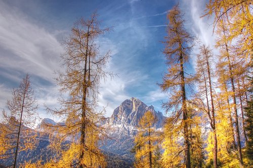 indian summer  dolomites  alm