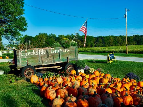 indiana roadside market