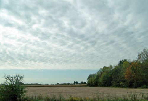 Indiana Field