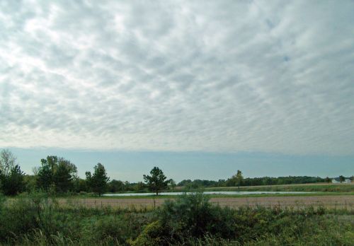 Indiana Field With Pond And House