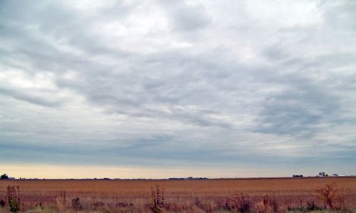 Indiana Field