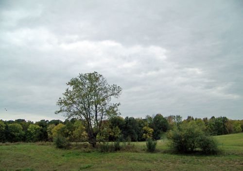 Indiana Landscape