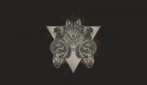 indians wolf skull