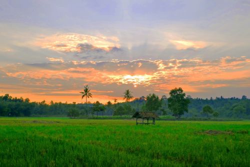 indonesia lampung landscape