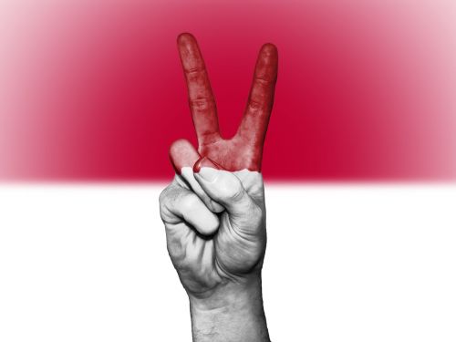 indonesia peace hand
