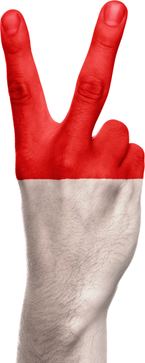 indonesia flag hand