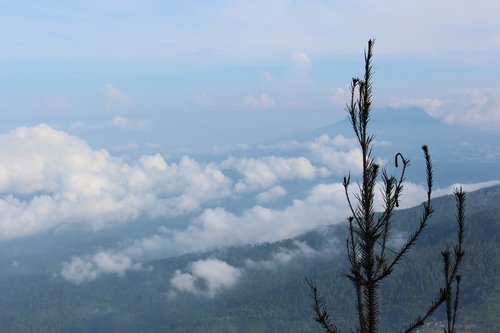 indonesian  mount  nature