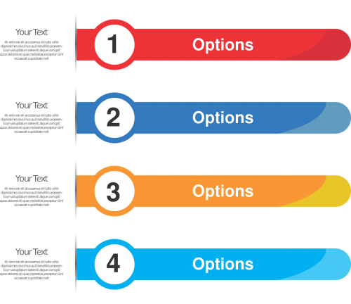 infographic design vector image