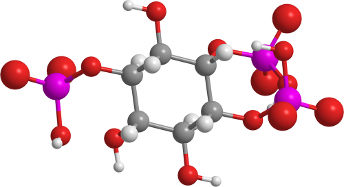 inositol triphosphate organic chemistry molecule