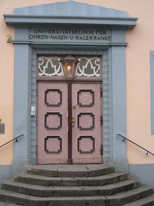 input door old door