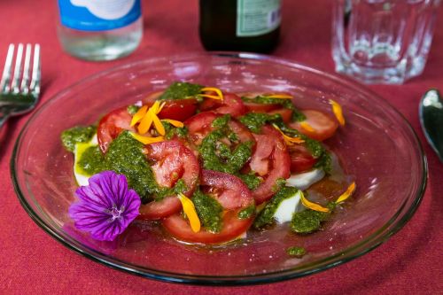 insalata caprese tomatoes mozarella