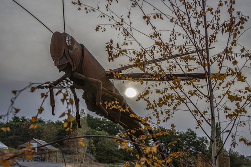 insect  metal  decoration