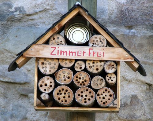 insect hotel help