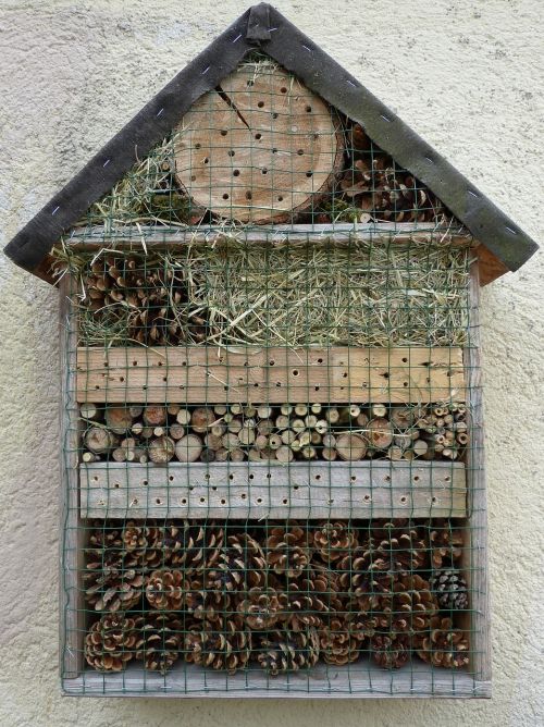 insect hotel insect house nesting and wintering help