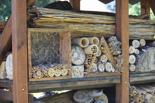 insect hotel  bees  wild bees