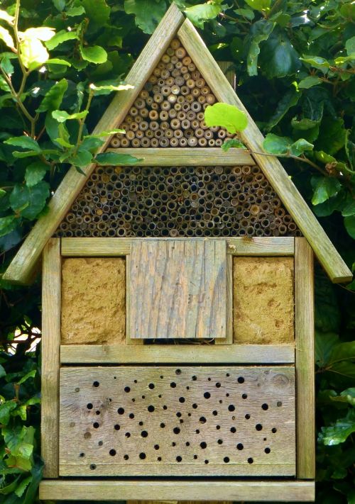 insect hotel bees wood block