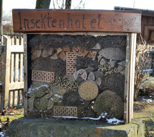 insect house nature wood