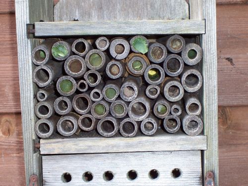 insect house leaf-cutter bees mason bees
