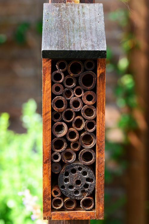 insect house bee hotel solitary bees