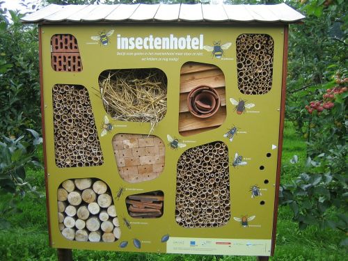 insects hotel bees nature