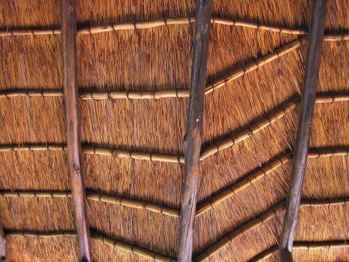 Inside Of Lapa Grass Roof
