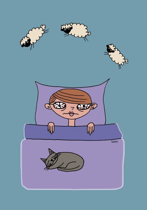 insomnia night sheep