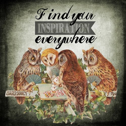inspiration owls animal